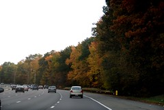 2009.10.25; Fall on the Garden State Parkway