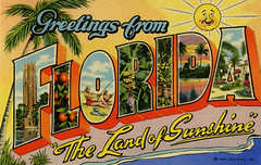 Florida Large Letter Postcards
