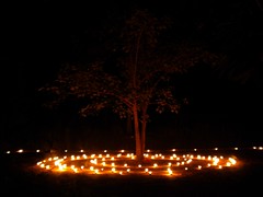DSCN0420 Centrum - Bodhi strom noc