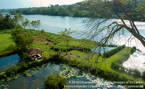Bolgoda Lake, Piliyandala - 20100129 - DSC_5388.jpg by Dhammika Heenpella / Images of Sri Lanka