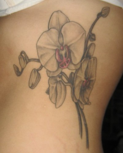 Orchid Tattoo Cropped Marc Cano Slave to the Needle