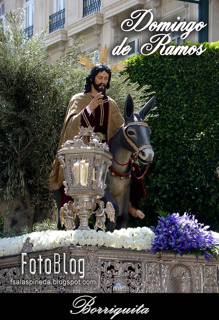 Almería, Semana Santa 2010. Cofradías del Domingo de Ramos.