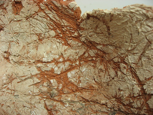 Paleolithic Surface Detail