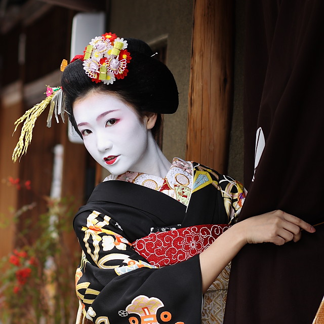 The maiko apprentice geisha Fukuho