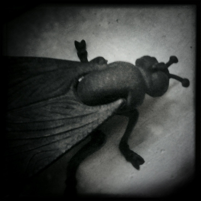 The Fly, Pose 1 (Hipstamatic iPhone Capture)