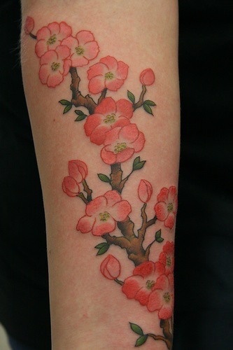 Cherry blossom tattoo My girlfriend had this tattoo done on her right 