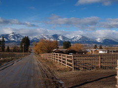 Montana 2005-07