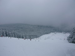 Skiing in Mehliskopf