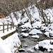 Nasu Kogen - Winter 10
