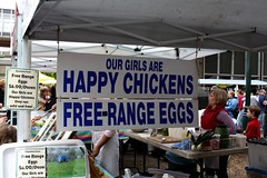 cage free eggs