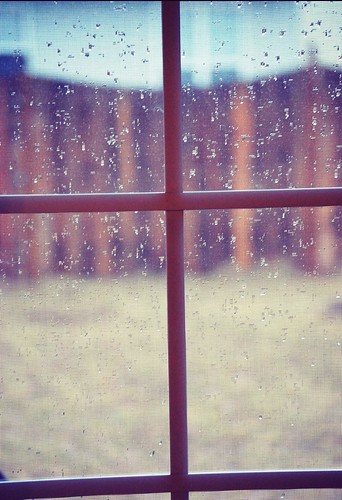 rain...rain   (17/365)