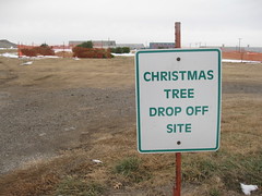 christmas tree recycling dropoff 2