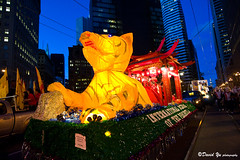 Year of Tiger Chinese New Year Parade San Francisco 2010