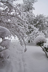 Snowstorm Feb 2010