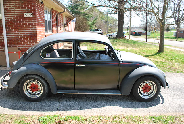 67 rat bug my bug with a little color