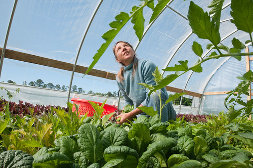 Amy's Organic Garden in Charles City, VA.  Organic certification ensures the integrity of organic products around the world, and this initiative will make sure the process is accessible, attainable and affordable for all.