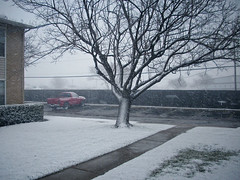 Christmas Snow, 2009