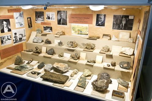Fossil, Gem & Mineral Show