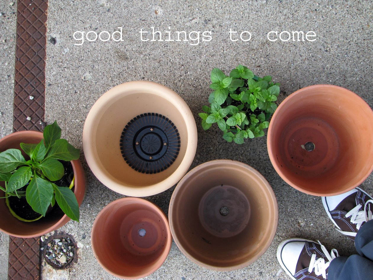 pots for my herb garden and my favorite tennies