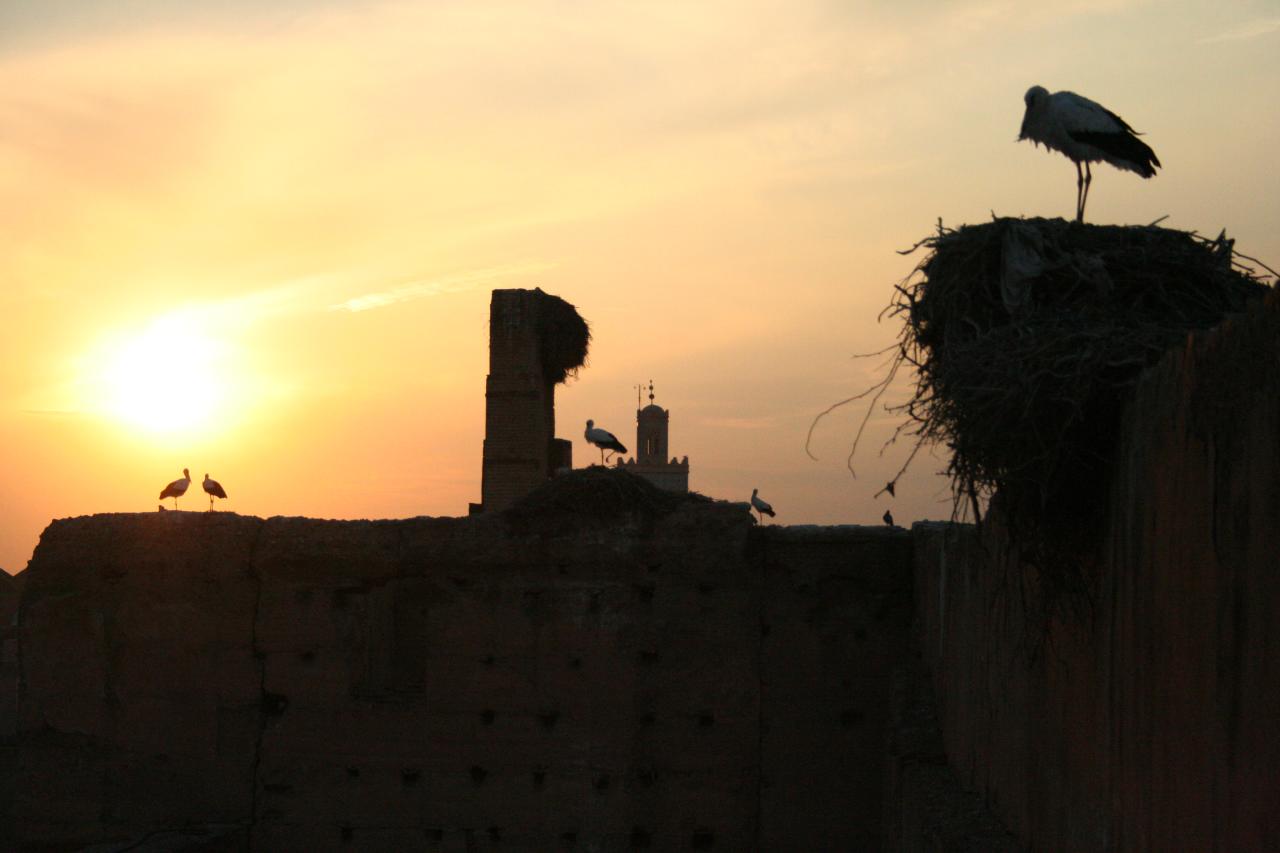 Sunset at El Badi Palace Marrakech