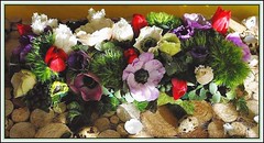 My bunches & flower arrangements