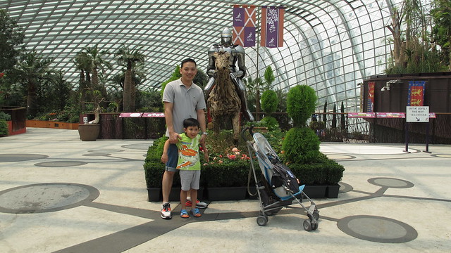 Gardens by the Bay Flower Dome