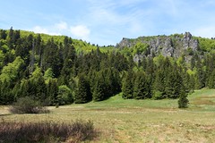 Schlucht - Tanet - Lac vert - Hirschsteine
