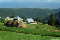 Cluj countryside