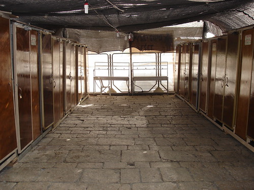 The entrance to the ladies' room at the Western Wall, Passover 2010