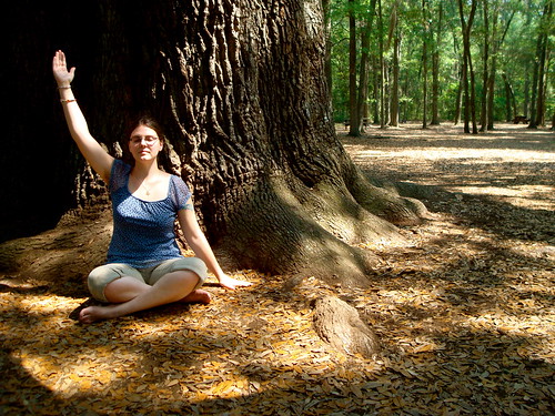 Meditation under the Angel Oak
