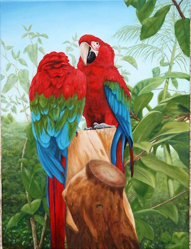 Green Winged Macaws by Sid's art