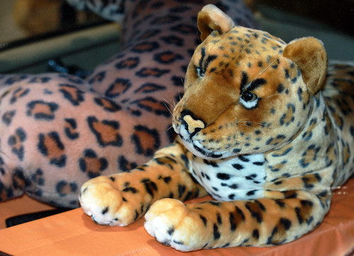 jaguar car photo