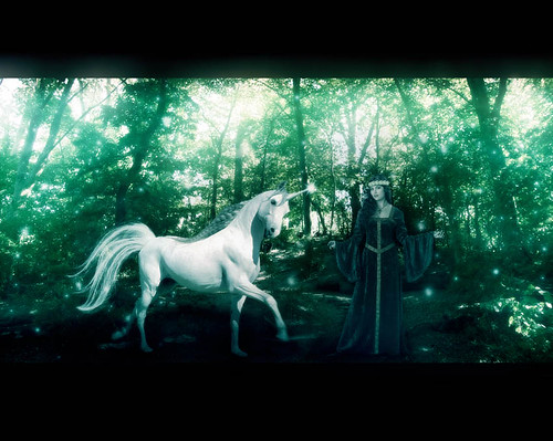 * The Maiden & The Unicorn *