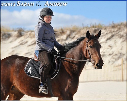 A perfect day for a beach ride! Horse Rescue United volunteers bring two Standardbred mares to Island Beach State Park for a ride.