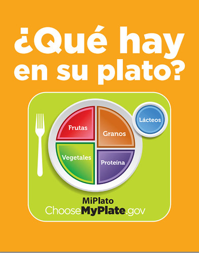 “Que Hay en Su Plato?” is the Spanish edition of the “What’s On Your Plate?” mini-poster.
