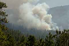 Thompson Ridge Wildfire 05-2013