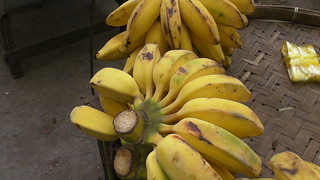 Square bananas