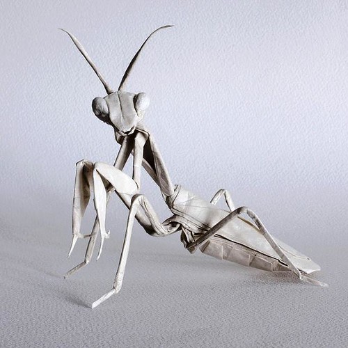 origami-mantis