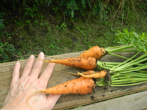 More Carrots