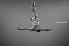 FINA European Masters Championships, Eindhoven 2013, Diving