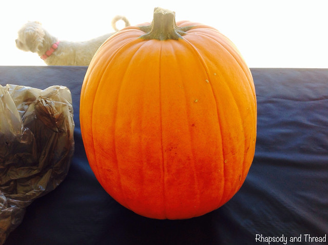 Halloween Tutorial: How to carve a pumpkin in 5 easy steps by Rhapsody and Thread