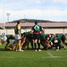 SÉNIOR - I. de Soria Club de Rugby vs Universitario de Zaragoza  (14)