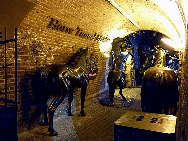 horse tunnel market