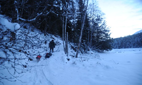 Cutting the trail, Ward Lane snowshoeing with gear on a toboggan and Rosie right behind, via the earthen ramp Ward dug out by hand last summer, snow, trees, forest, estuary flats, looking south, Sunrise Island, Kenai Peninsula, Alaska, USA by Wonderlane