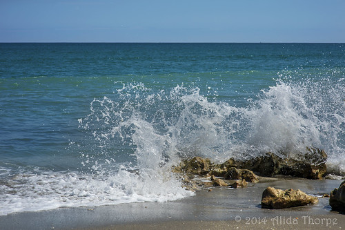 Caribbean Splash by Alida's Photos