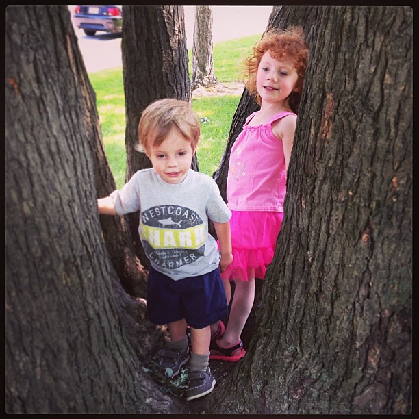 Tree climbing!  #summer #outside #latergram