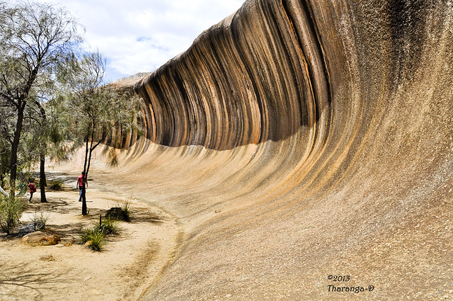 The Wave Rock