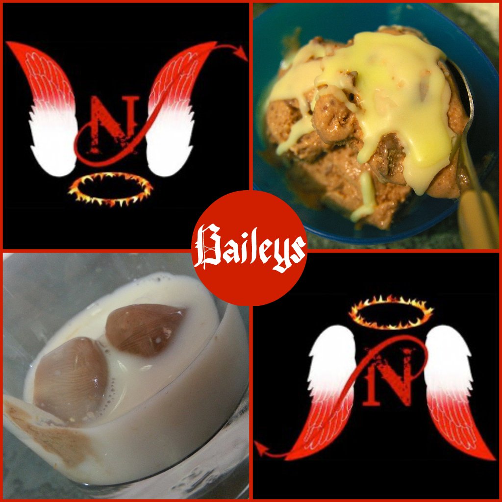 NN 2013 Baileys Desc
