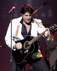 Memories of Elvis In Concert