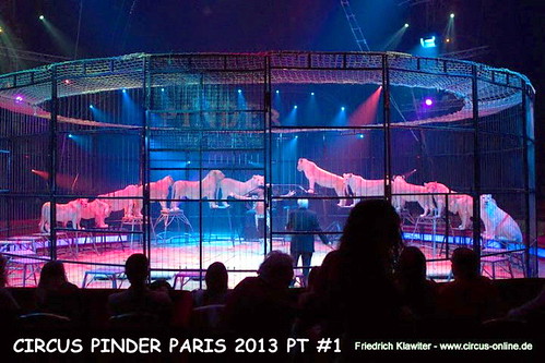 pinder paris 1213-049 (Small) by CIRCUS PHOTO CENTRAL
